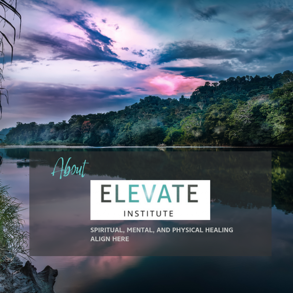 About the Elevate Institute los angeles