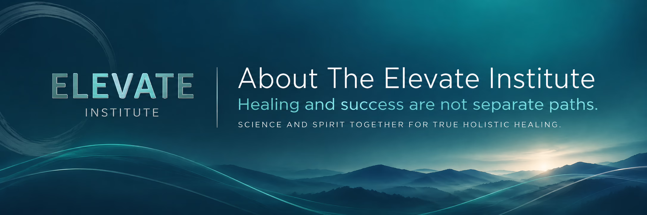 about The Elevate Institute what we stand for and how we work